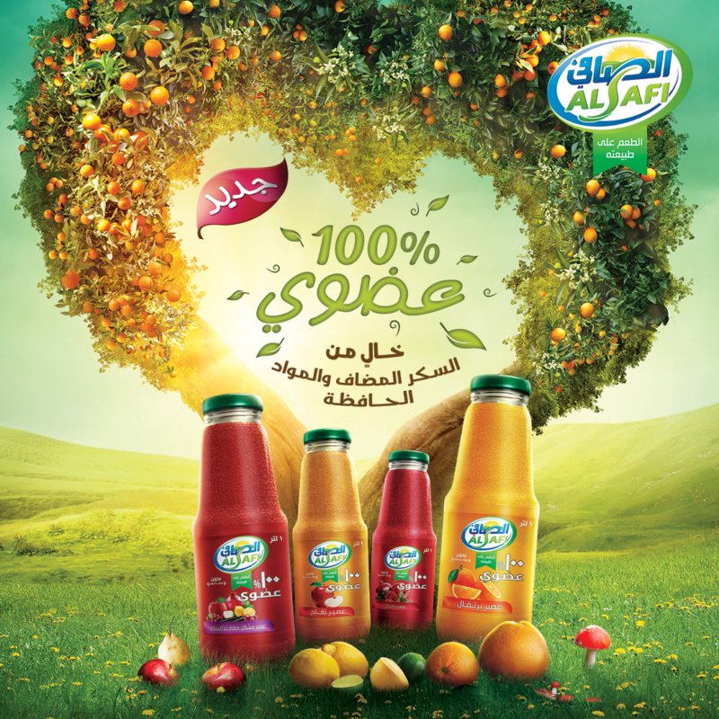 Video edits and motion graphics